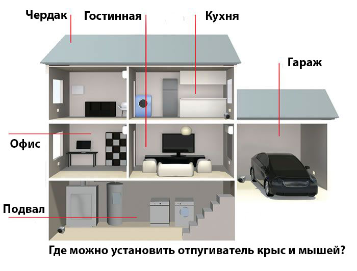 Где-можно-установить-отпугиватель-крыс-и-мышей